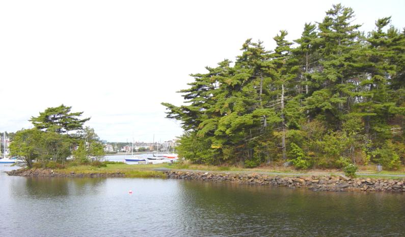 Halifax: Deadman's Island