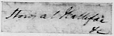 August 13th, 1776, Title: Stores at Halifax