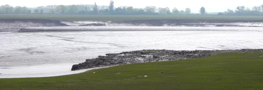 Remains of the old wharf at Horton Landing