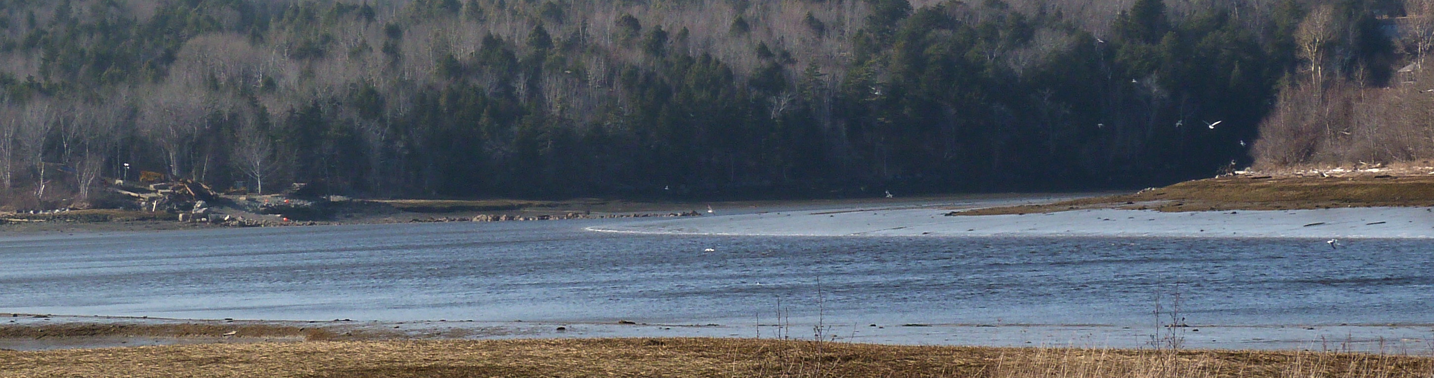 Dominion Atlantic Railway: Sissiboo River Bridge, Weymouth, Digby County, Nova Scotia, 08 Mar 2012