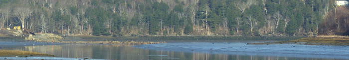 Dominion Atlantic Railway: Sissiboo River Bridge, Weymouth, Digby County, Nova Scotia, 12 Mar 2012