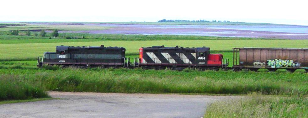 W&HR: Train to New Minas, 27 June 2007