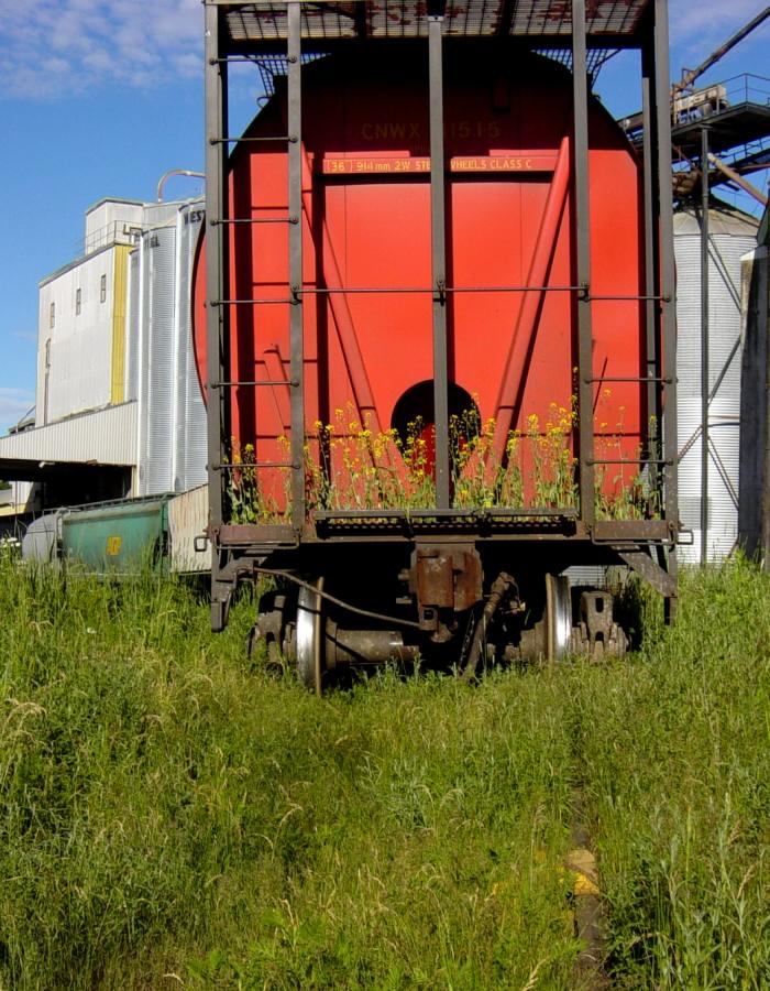 W&HR: Train to New Minas, 27 June 2007, epilogue