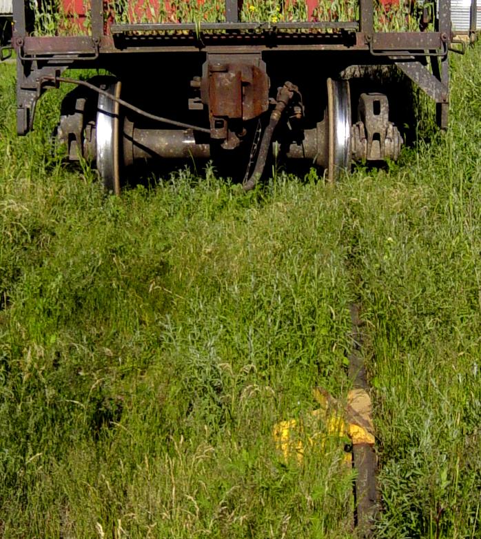 W&HR: Train to New Minas, 27 June 2007, epilogue